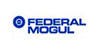 federal mogul